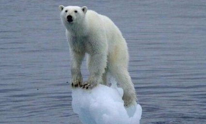 Contre le projet Willow