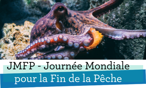Journée Mondiale : pour la fin de la pêche et des élevages aquacoles !