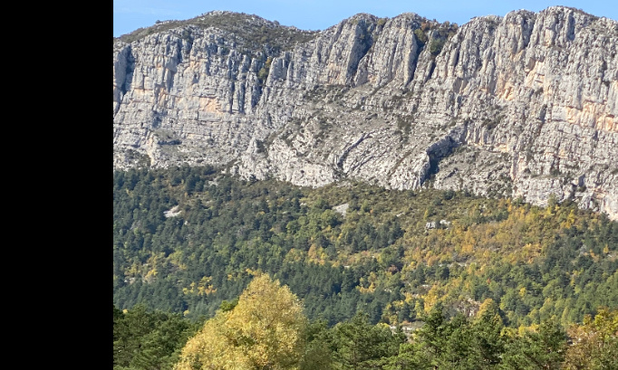 L&rsquo;arr&ecirc;t de la chasse &agrave; courre