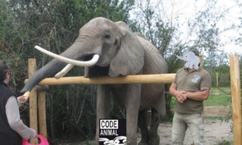 Pour que Baby soit placée dans un sanctuaire !