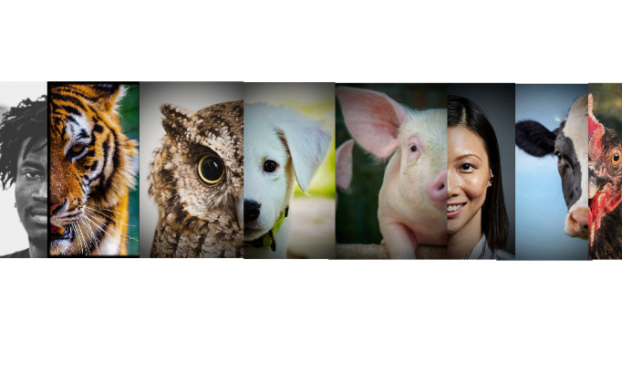 Bien être animal :  contre le spécisme