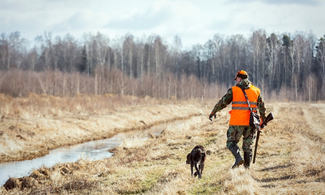 Pour le retrait de la publicité pour la chasse !