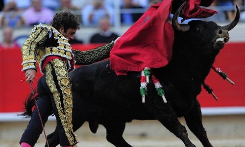 Arrêtons les corridas, ce n'est pas un art mais de la torture !