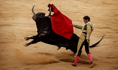 Qu'ils arrêtent de tuer les taureaux à la fin de leur spectacle partout dans le monde !