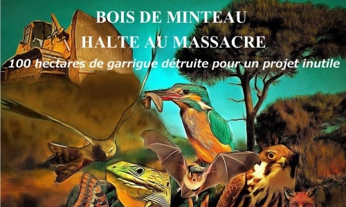 Non au projet d'aménagement du bois de Minteau !