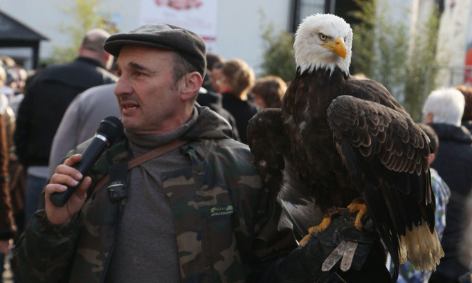 Fête Médiévale La Chapelle d’Angillon : Non à la présence de loups, rapaces et perroquets.