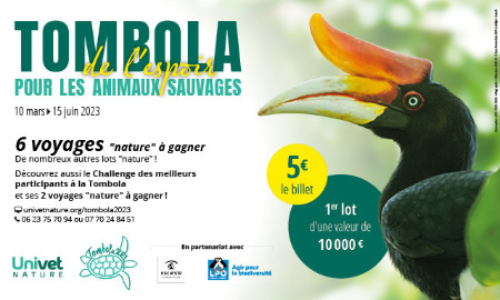 Une initiative vétérinaire pour sauver les animaux des forêts tropicales