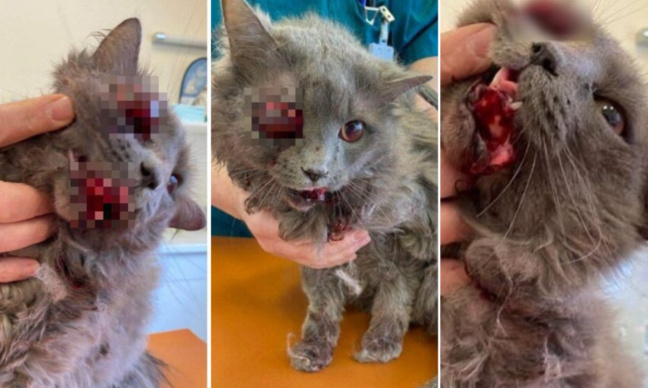 Rouée de coup : Peine maximale pour le bourreau de Luna !