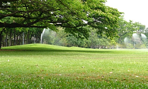 Sécurisation du parc enfants et chiens