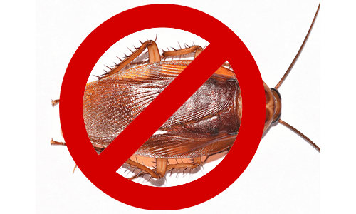 Exclusion de Juan Pablo Martínez du club fermé des meilleurs gardiens EU