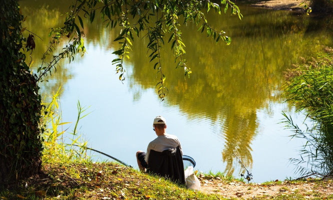 Sauvons l'association de pêche 