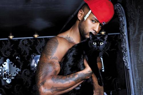 Le chat doit s'appeler Booba