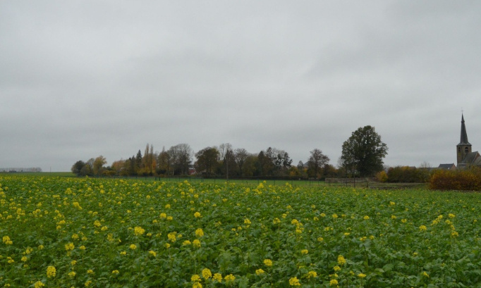 Projet éolien STORM Quévy sur Aulnois : NON !