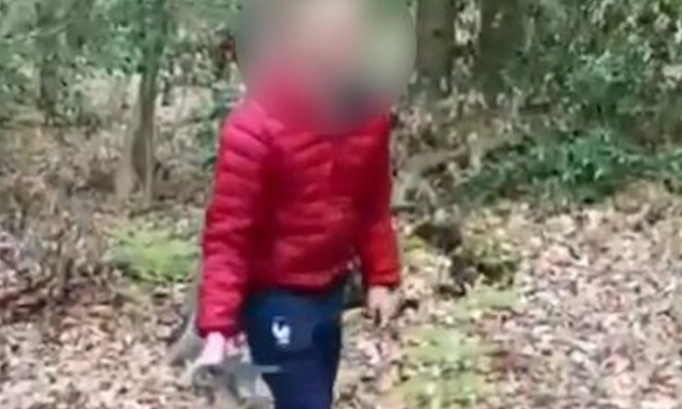 Justice pour les chatons torturés par des collégiens !