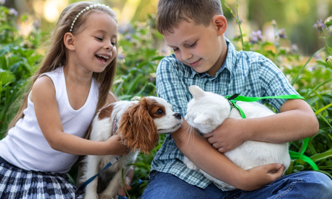 Intégrons le langage canin et félin au programme scolaire