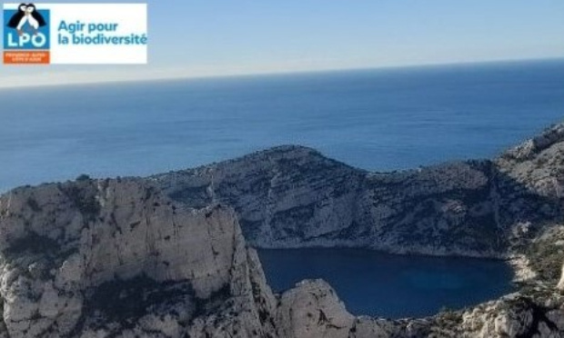 Pour une nouvelle réglementation de la chasse au sein du Parc national des Calanques