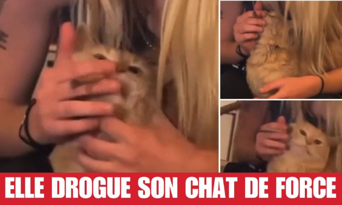 Cannabis : elle force son chat à inhaler !