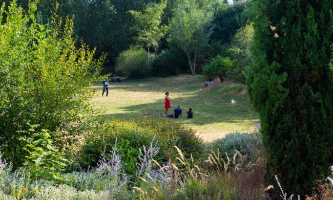 Bébés en DANGER ! Non aux Pit-Bulls et chiens en liberté au parc du Chateau de l'Etang