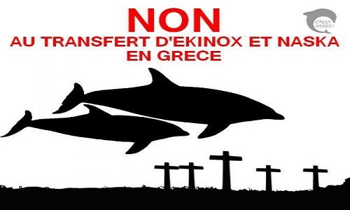 Annulation du transfert de dauphins français vers la Grèce