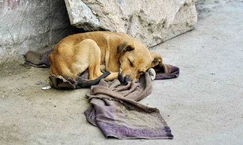 Je veux que ça cesse