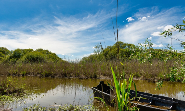 Contre la chasse au Marais de Goulaine !