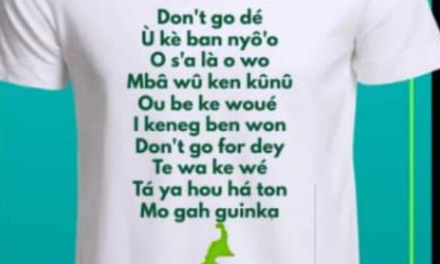 RESPECT AUX DECISIONS DU C.E.S.