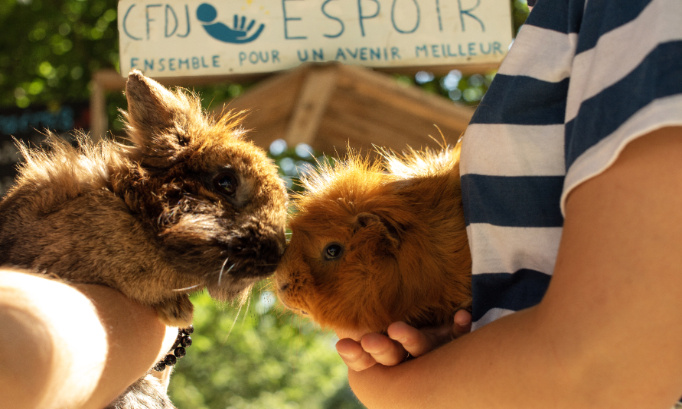 Pour le retour des animaux à la ferme Éole !