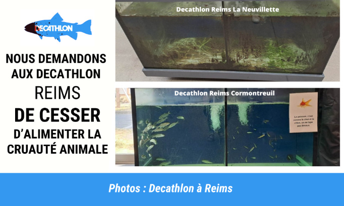 Les deux Decathlon de Reims doivent arrêter d’alimenter la cruauté envers les animaux !