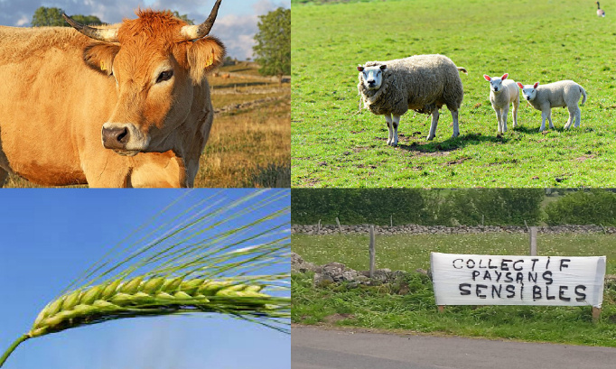 Non aux prairies sensibles, soutenons les agriculteurs !