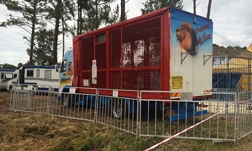 Pour des cirques sans animaux sauvages