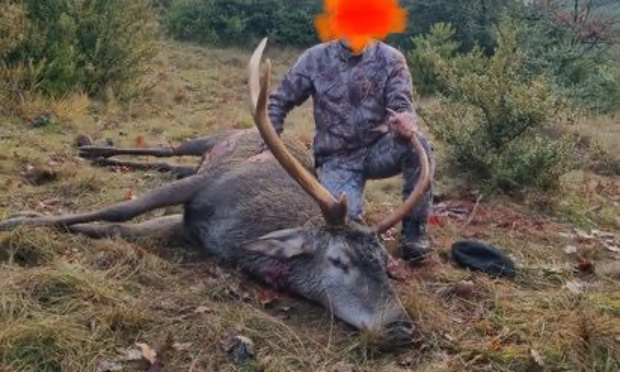 Non aux photos trophées de chasse sur Internet !