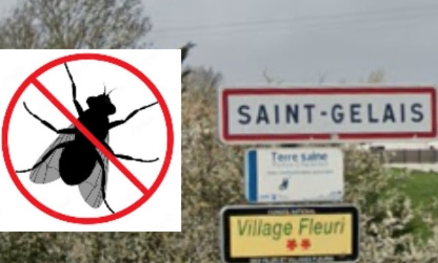 Petition : Stop aux mouches autour de Saint Gelais et Chauray