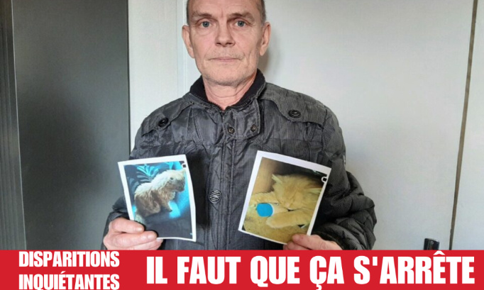 Disparition de chats dans la Sarthe, il faut y mettre un terme !