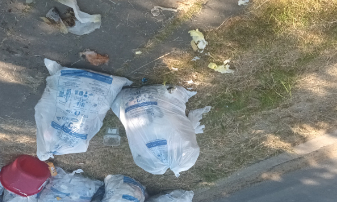 Appel à Bruxelles propreté pour revenir à 2 fois semaine pour le ramassage des poubelles !