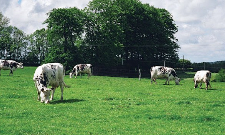 Pour un soutien massif de la Région Normandie à l'agriculture biologique !