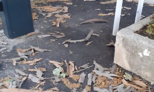 Pour le retour des cantonniers dans les cimetières à Marseille : nos cimetières sont dans un état lamentable