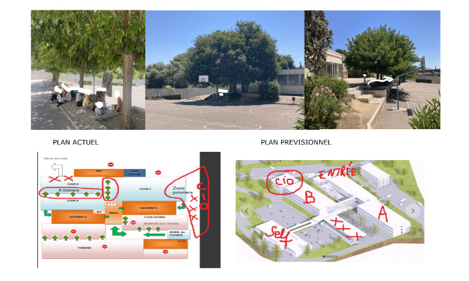Urgent : préservons les arbres du collège Virebelle !
