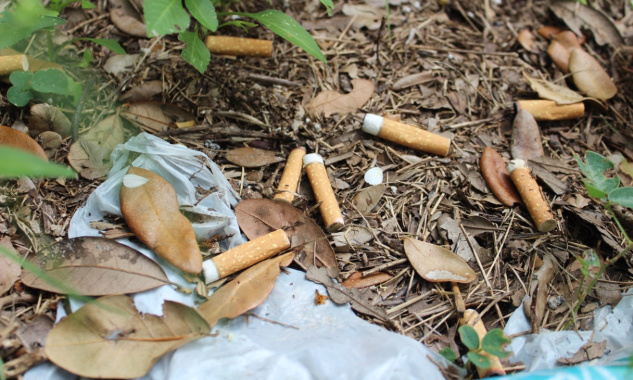 Pour l'interdiction des cigarettes dans les parcs d'attraction !