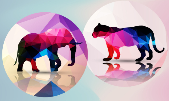 Stop aux cirques avec animaux à Belley : agissons ensemble pour le bien-être animal