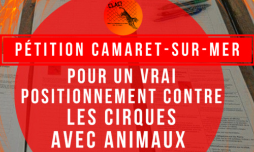 Camaret-sur-mer : Pour un vrai positionnement contre les cirques avec Animaux