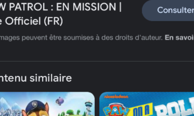 Interdire pat patrouille de tous les programmes