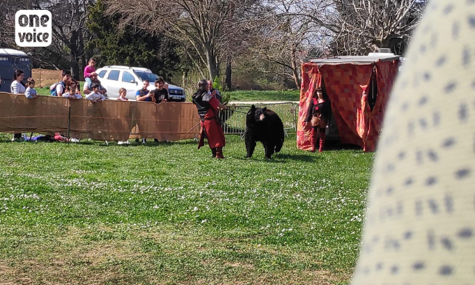 Non à la présence de l’ours Valentin au Festival 'Chasse et Campagne' qui se déroulera le 20 août 2023 dans l’Aube.