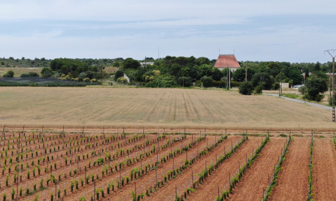 Urgent : non à l'antenne-relais illégale en construction dans un hameau en Provence !