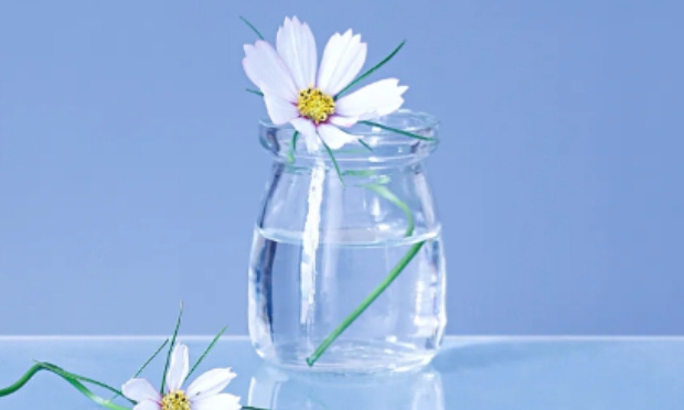 Non à l'usage de la force et à l'ingérence au Niger. Pas de ''nouvelle Libye''