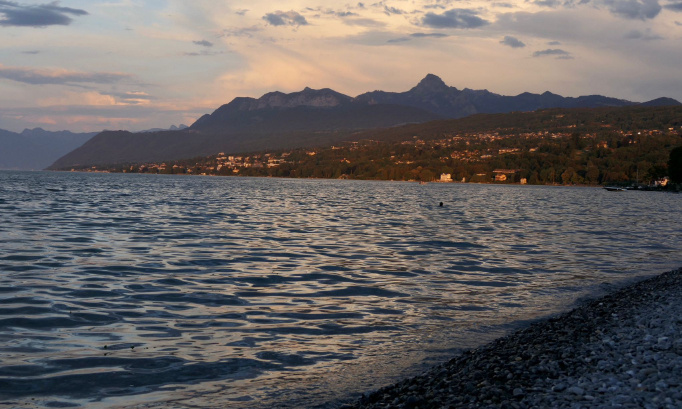 Non à l'interdiction des chiens sur la plage de Port Pinard (Publier-Lac Leman)