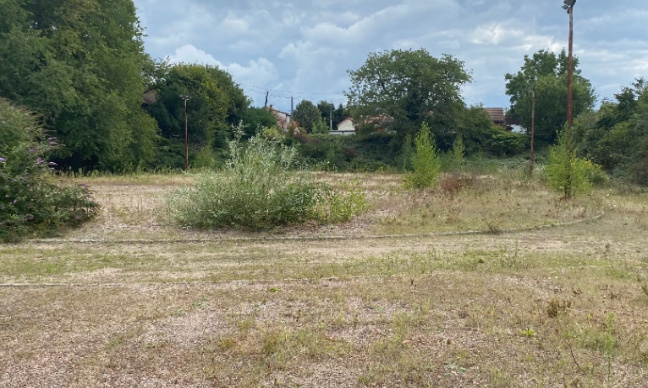 Renouvellement du stade