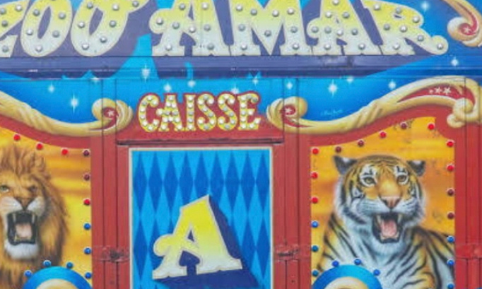 P&eacute;tition cirques delphinariums et zoo et parcs animalier narins nos professionnelles veulent continuer leurs activit&eacute;s spectacle avec les aminaux cela fait un grand plaisir aux enfants
