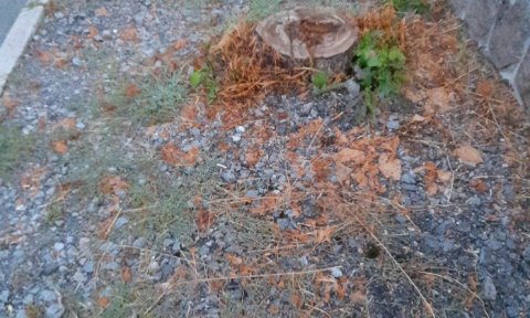 Trottoirs impraticables sur la commune d'Egletons