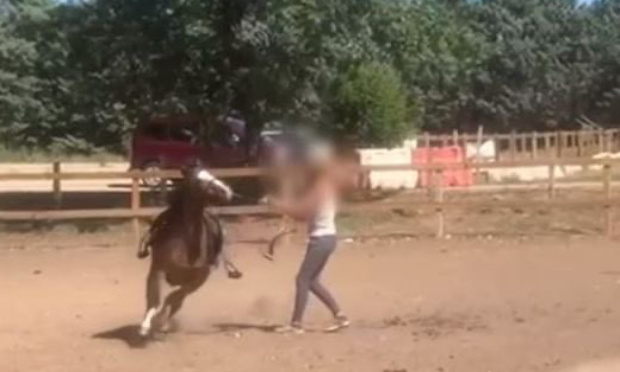 Justice pour Happy, une ponette qui a subi des actes de cruauté