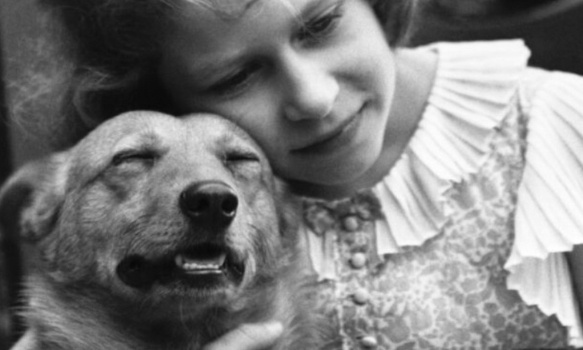 Pour que les animaux soient admis dans les maisons de retraite et les hôpitaux